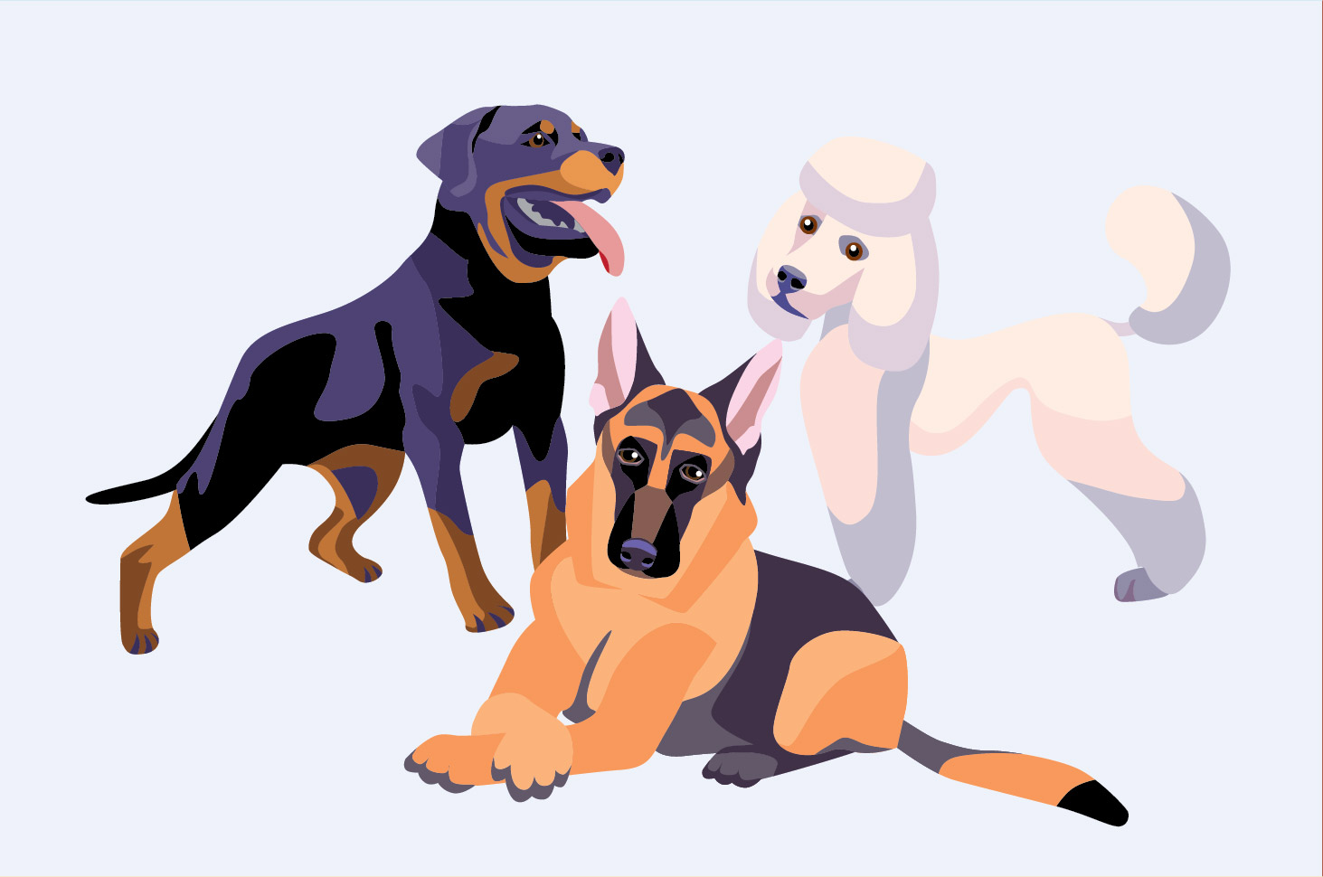 Poznaj 7 najmądrzejszych ras psów na świecie