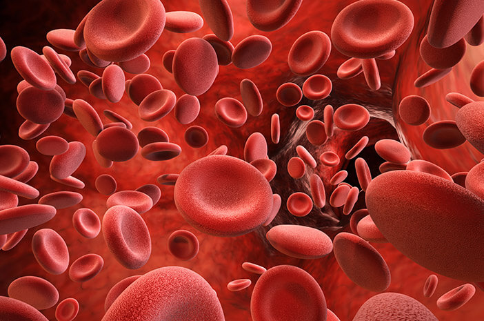 혈소판과 관련된 5가지 혈액 장애