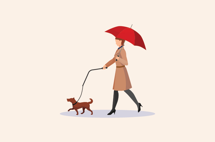 Atenție la problemele digestive la câini în sezonul ploios