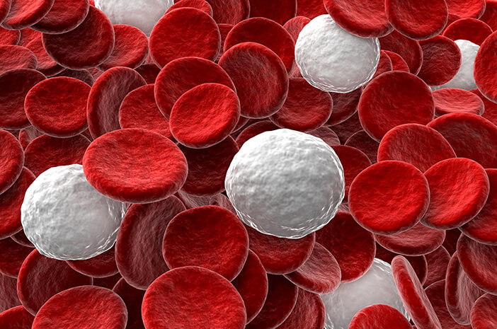 4 tipuri de tulburări de sânge care afectează celulele albe din sânge