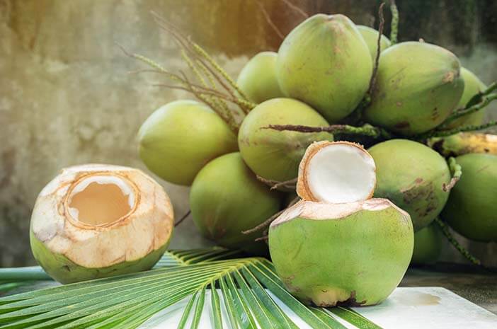코코넛 워터가 식중독 치료제로 사용되는 이유는 무엇입니까?