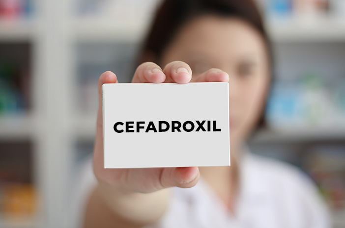 Cefadroxil은 어떻게 작동합니까?