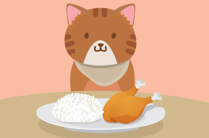 인간의 음식은 고양이가 먹어도 안전합니까?